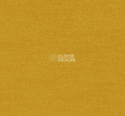 Ковровая плитка Interface Polichrome Solid 4266018 Mimosa фото 1 | FLOORDEALER